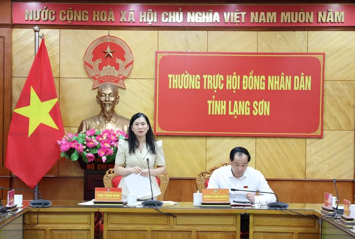Đồng chí Trần Thanh Nhàn, Phó Chủ tịch UBND tỉnh phát biểu tại buổi giám sát