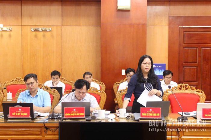 Lãnh đạo Thống kê tỉnh phát biểu tại cuộc làm việc