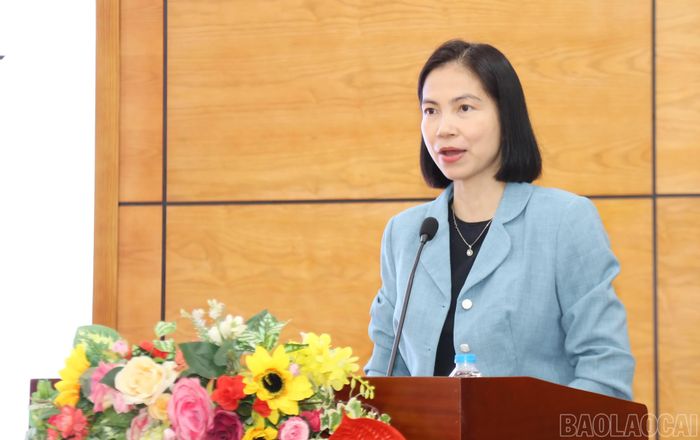 Lãnh đạo Viện Phát triển Doanh nghiệp phát biểu tại hội nghị.