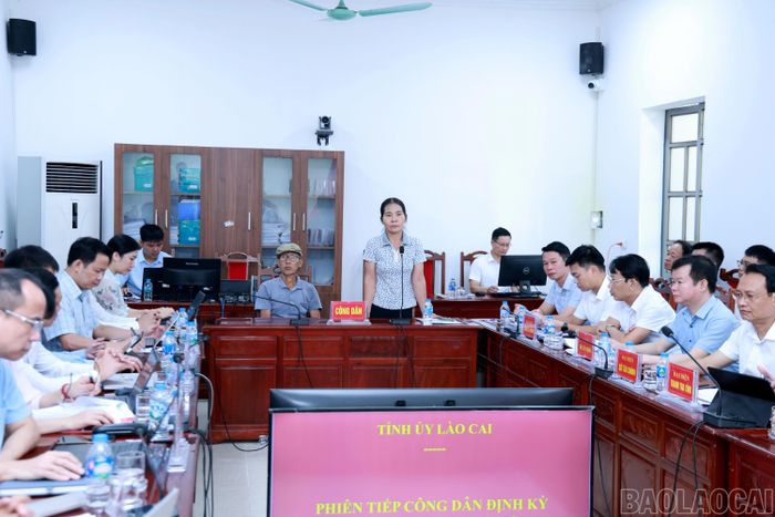 Bà Lương Thị Minh trình bày ý kiến, kiến nghị.