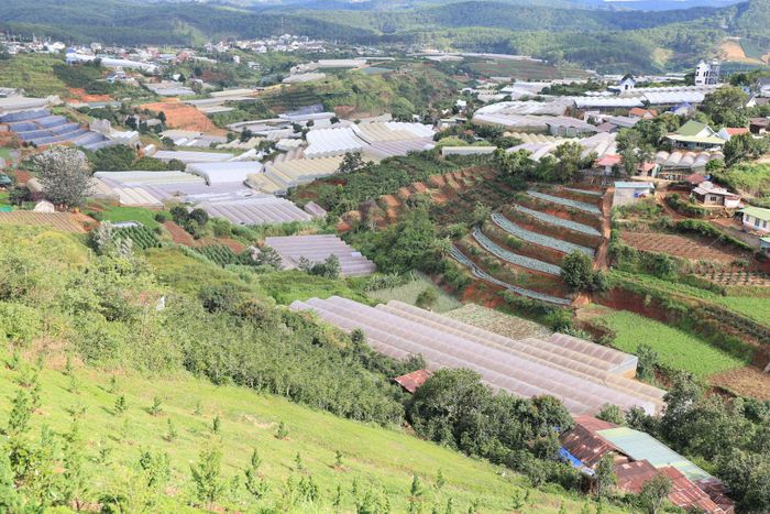 Khu vực sản xuất nông nghiệp ở Trại Mát