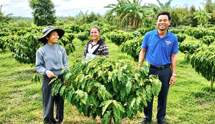 Chị Lê Thị Thanh (ngoài cùng bên trái) bên vườn cà phê hơn 1.000 cây