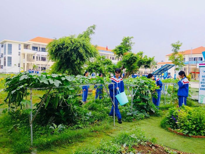 Học sinh được tự tay chăm sóc cây, trồng rau tại vườn STEM