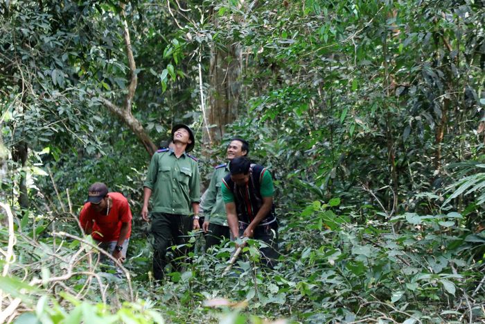 Người dân các bon trên địa bàn Lâm Đồng góp sức đáng kể vào công tác quản lý bảo vệ rừng phòng hộ Nam Cát Tiên. Ảnh tư liệu