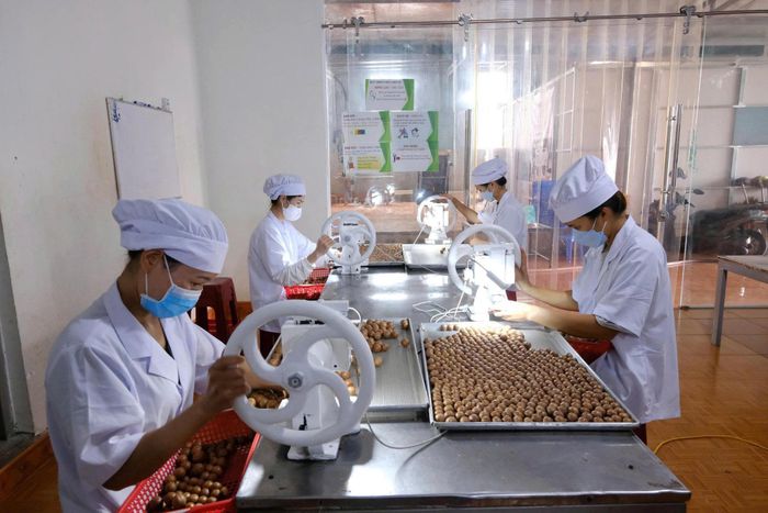 Các cấp công đoàn tại Lâm Đồng luôn chú trọng đẩy mạnh các hoạt động chăm sóc, tư vấn sức khỏe cho người lao động