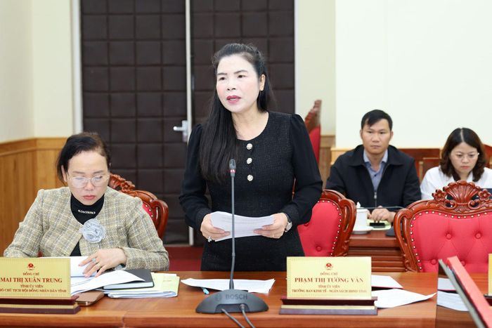 Tỉnh ủy viên, Trưởng Ban Kinh tế - Ngân sách HĐND tỉnh Phạm Thị Tường Vân báo cáo rà soát các nội dung thuộc thẩm quyền