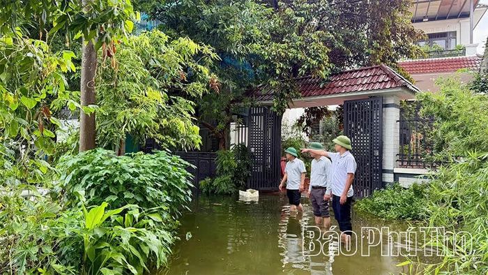 Chính quyền địa phương khảo sát, thực hiện phương án bơm hút nước tại khu vực ngập sâu.