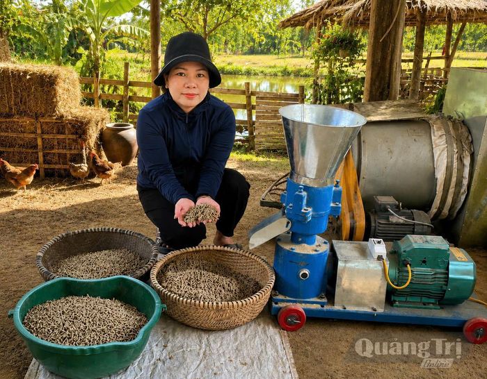 Cám viên từ phụ phẩm nông nghiệp được Hợp tác xã Sản xuất, kinh doanh nấm sạch và rượu Xuân Hưng sản xuất thành công, mang lại hiệu quả trong chăn nuôi - Ảnh: L.M