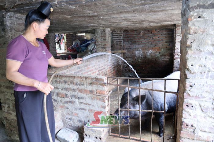 Người dân xã Chiềng La vệ sinh chuồng chăn nuôi để bảo vệ môi trường.