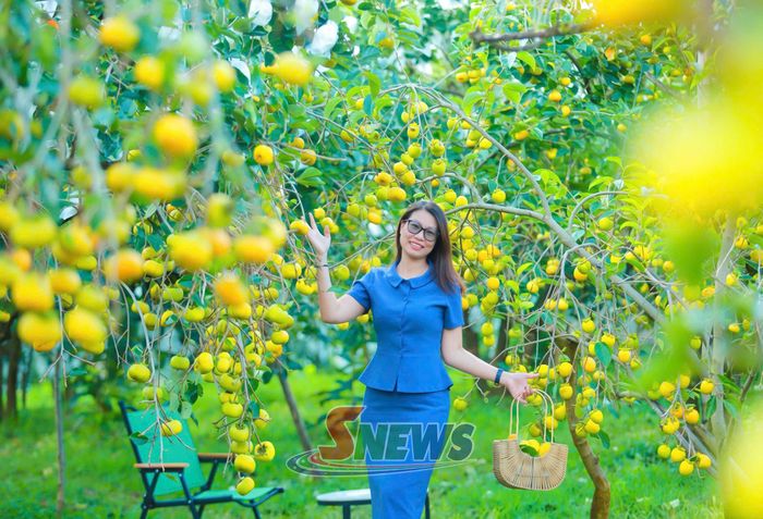 Du khách chụp ảnh tại vườn hồng Hải Yến, xã Tân Yên.