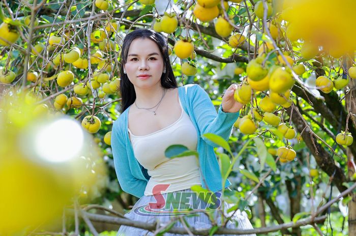 Du khách chụp ảnh tại vườn hồng Ánh Tuyết, phường Thảo Nguyên.