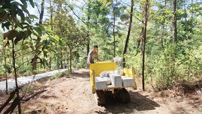 Vận chuyển vật liệu lên núi Kim Phụng.