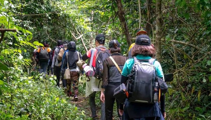 Trekking rừng, môi trường núi rừng cũng ẩn chứa những nguy cơ dị ứng (ảnh minh họa).