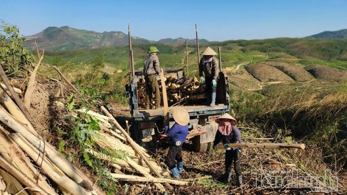 Quảng Ninh đang tập trung phát triển các mô hình sinh kế phù hợp với điều kiện từng địa bàn. Ảnh: T.D