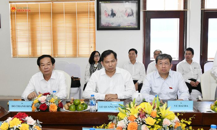 Các đại biểu Việt Nam tham dự cuộc làm việc