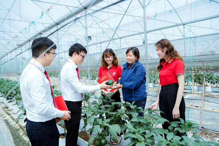 Nguồn vốn Agribank tiếp tục được định hướng vào các lĩnh vực sản xuất, kinh doanh, lĩnh vực ưu tiên và những ngành có khả năng đóng góp trực tiếp cho tăng trưởng. Ảnh: Agribank