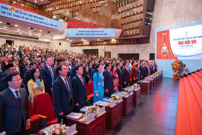 Phó Chủ tịch Quốc hội Nguyễn Hồng Diên và các đại biểu thực hiện nghi lễ chào cờ