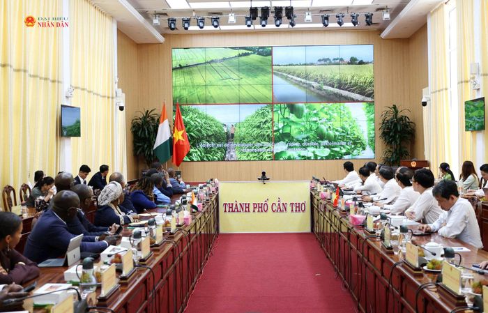 Các đại biểu tham dự cuộc làm việc xem video giới thiệu về tiềm năng, thế mạnh của TP. Cần Thơ