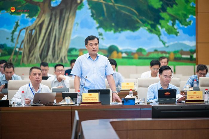 Phó Chủ nhiệm Văn phòng Quốc hội Nguyễn Mạnh Hùng phát biểu