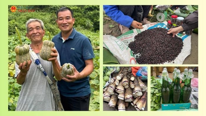 Nhiều sản vật quý của quê hương được đồng chí Tư quảng bá rộng rãi trên nhiều nền tảng, đem đến cơ hội tiêu thụ đột phá và bền vững cho người nông dân vùng cao.