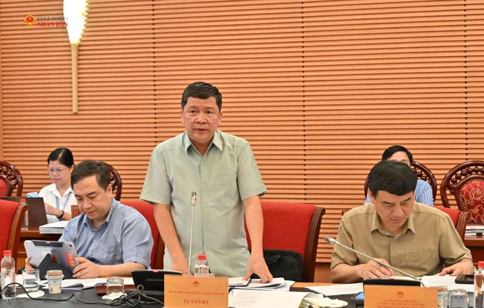 Phó Chủ nhiệm Ủy ban Văn hóa và Xã hội Tạ Văn Hạ phát biểu tại phiên họp