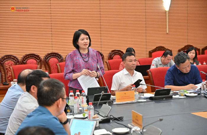 ĐBQH hoạt động chuyên trách tại Ủy ban Văn hóa và Xã hội Nguyễn Thị Mai Thoa phát biểu tại phiên họp