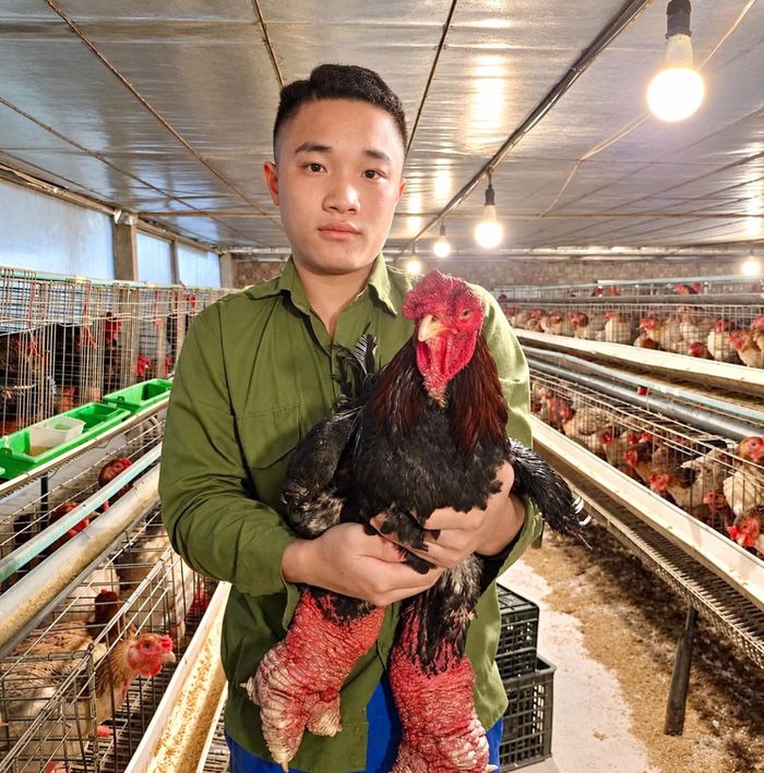 Nhãn hiệu tập thể , chỉ dẫn địa lý do HTX quản lý, khai thác mang lại hiệu qủa cao.
