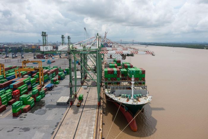 Hai lãnh đạo Viconship đăng ký bán sạch cổ phiếu VSC. Ảnh: VSC.