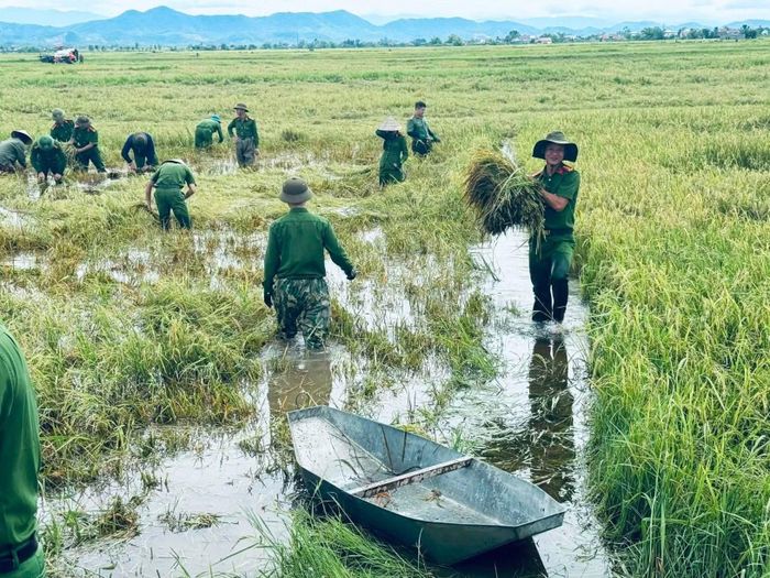 Mưa lũ gây đổ và ngập úng hàng nghìn ha lúa đang đến kỳ thu hoạch, lực lượng Công an đã chẳng quản ngại khó khăn, giúp dân gặt lúa chạy lũ.