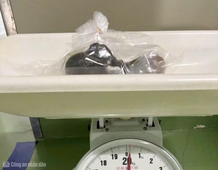 Búi tóc có trọng lượng 250gram.