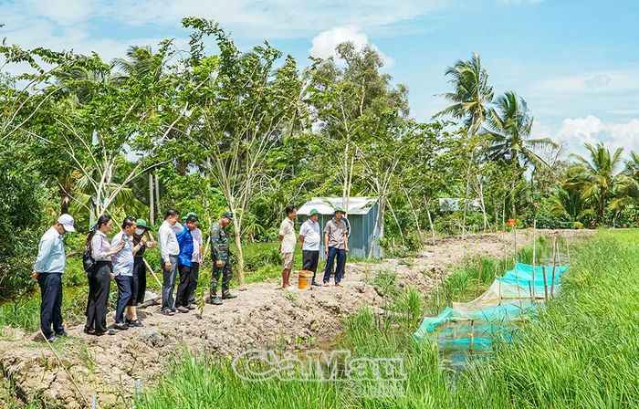 Uỷ viên Ban Thường vụ Tỉnh uỷ, Trưởng Ban Tuyên giáo Tỉnh uỷ Hồ Trung Việt (thứ hai từ phải sang) khảo sát mô hình tái tạo nguồn lợi cá đồng kết hợp trồng lúa sạch tại ấp Mỹ Trinh, xã Vĩnh Thanh.