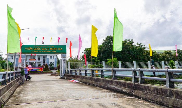 Vườn Quốc gia U Minh Hạ trang trí cờ hoa, chuẩn bị đón đoàn Presstrip đến khảo sát, trải nghiệm.