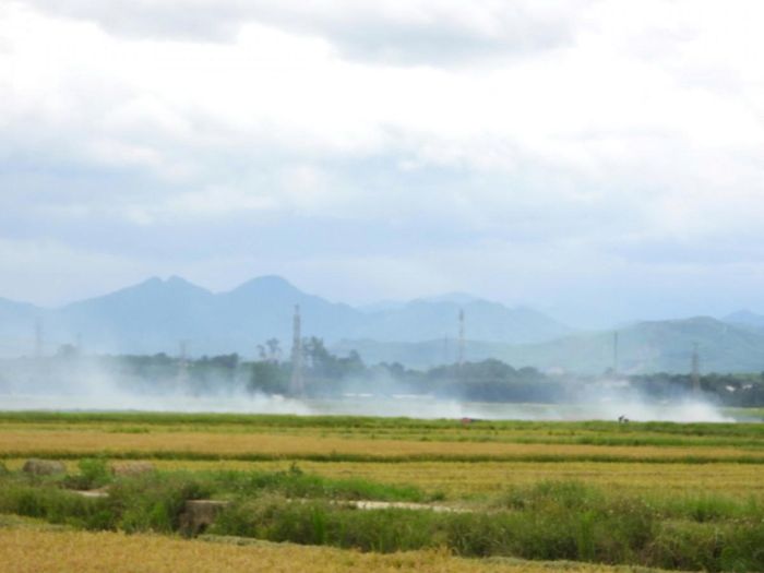 Những cuộn khói bốc cao trên cánh đồng thôn Xuân Bồ