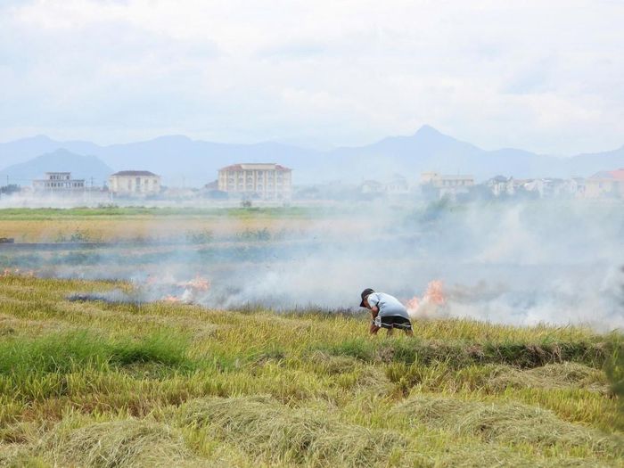 Tình trạng đốt rơm sau thu hoạch trên cánh đồng thôn Xuân Bồ, xã Lệ Thuỷ tỉnh Quảng Trị