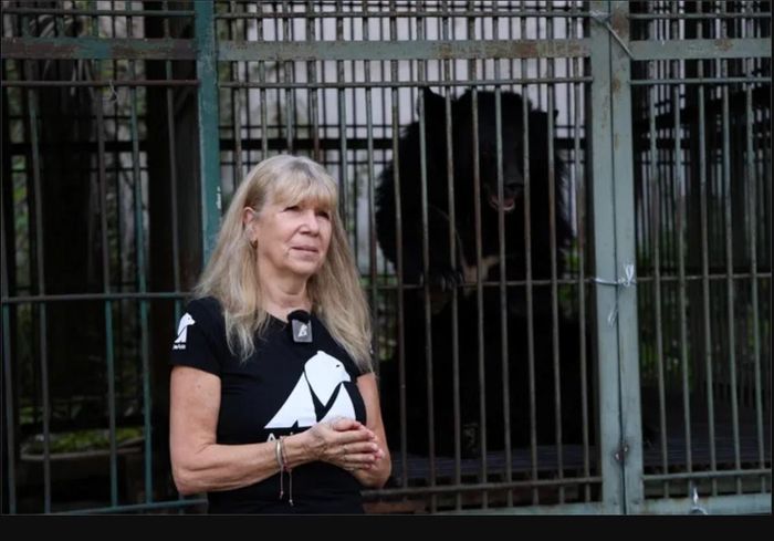TS. Jill Robinson MBE, sáng lập viên kiêm Tổng Giám đốc Tổ chức Động vật Châu Á