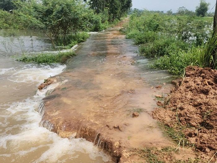Mưa lũ gây ngập úng tại thôn An Ninh xã Kim Anh. Ảnh: Lương Giang