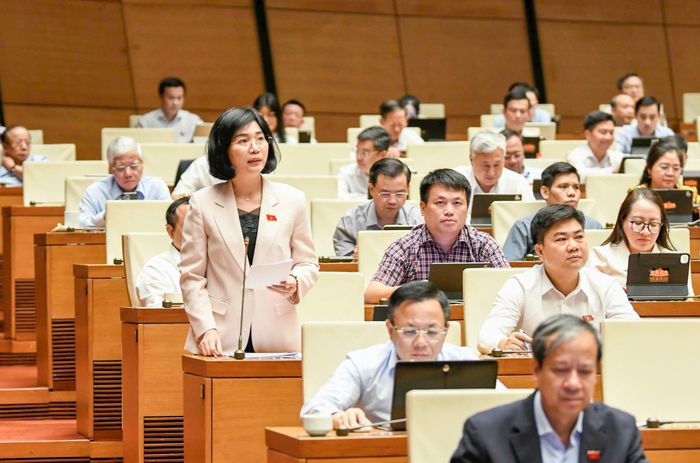 Phó Bí thư Thành ủy, Chủ tịch HĐND thành phố, Phó Trưởng đoàn đại biểu Quốc hội thành phố Hà Nội Phùng Thị Hồng Hà phát biểu thảo luận tại kỳ họp. Ảnh: Như Ý