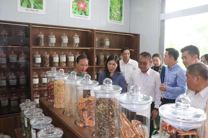 Đoàn công tác thăm phòng trưng bày sản phẩm tại An Lạc farm. Ảnh: Hiền Chi