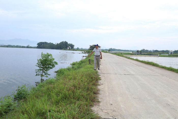 Đê Gò Khoăm an toàn trước lũ lớn sông Bùi sau khi được thành phố đầu tư xây dựng công trình khẩn cấp khắc phục sự cố xảy ra năm 2024. Ảnh: Kim Nhuệ