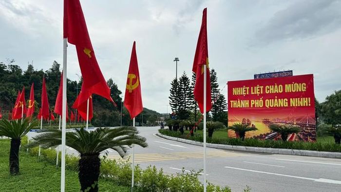 Cờ Tổ quốc và cờ Đảng được trang hoàng trên các tuyến đường, tạo không khí rực rỡ chào mừng Quảng Ninh trở thành thành phố trực thuộc Trung ương. Ảnh: Tiến Sinh