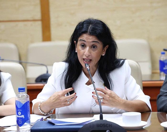 Bà Natalie Fairlie, Phó Chủ tịch AUSCHAM Việt Nam phát biểu. Ảnh: Trần Minh