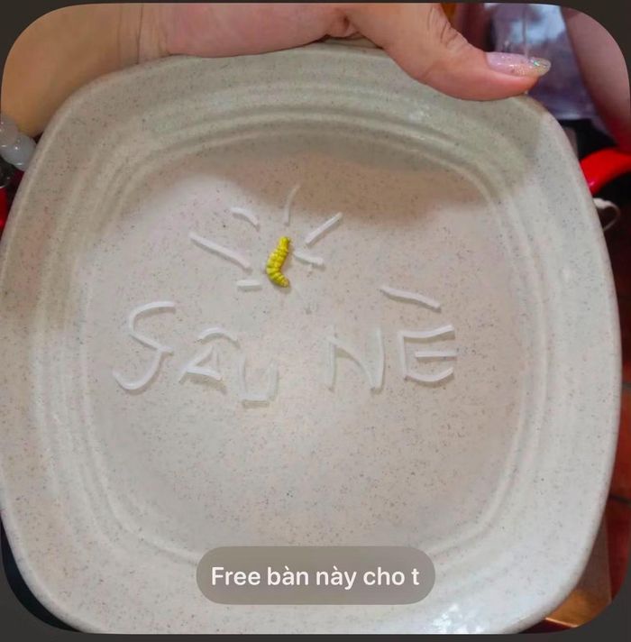 Không chỉ là khẩu vị, mà những vấn đề như "mặn", "sống" hay có sâu trong món ăn cũng được chỉ ra (kèm theo bằng chứng). Ảnh: @binhan_9x