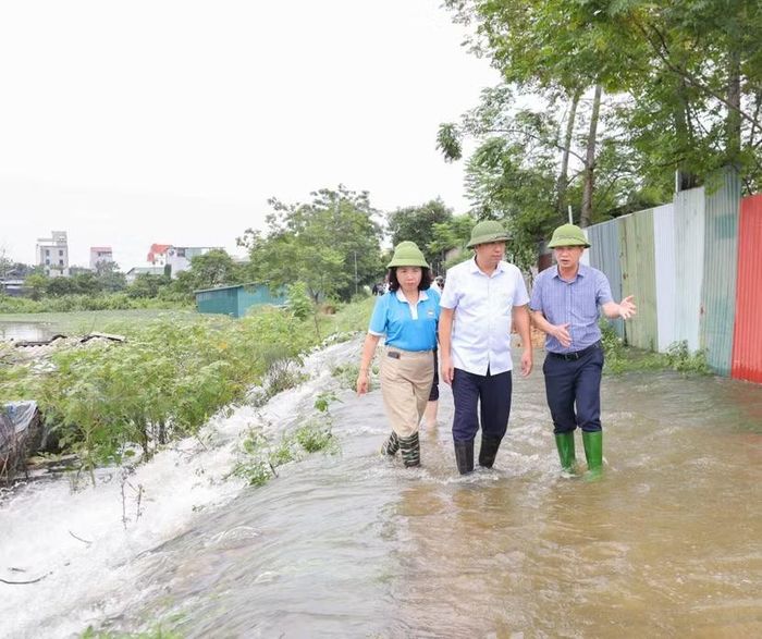 Lãnh đạo xã Kiều Phú kiểm tra tuyến đê Minh Khai bị tràn
