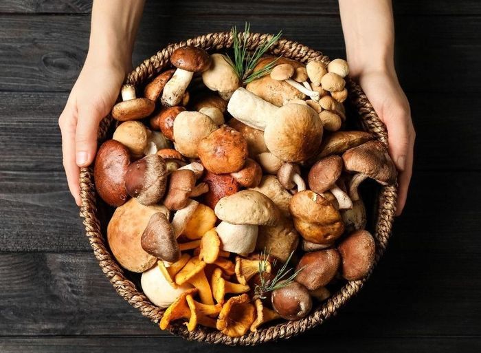 Nấm là một trong những thực phẩm quen thuộc trong bữa cơm người Việt. Ảnh: Shutterstock.