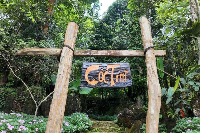 Đường vào Cốc Tình