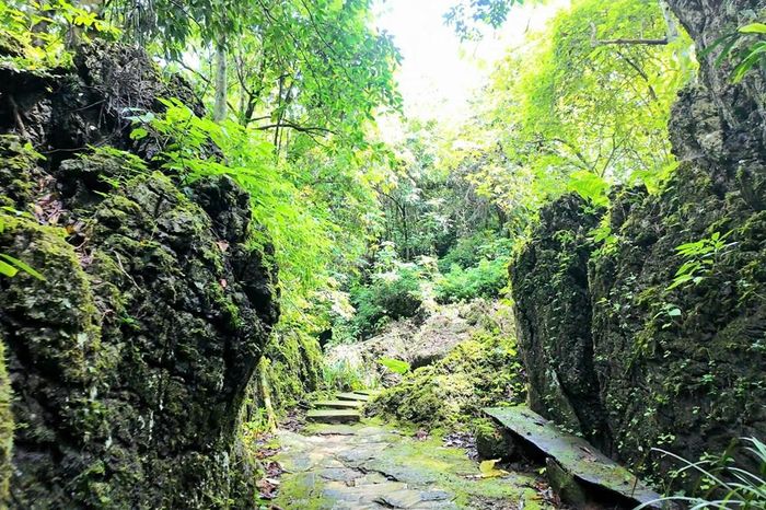 Những tảng đá rêu phong hòa cùng màu xanh núi rừng tạo nên khung cảnh thơ mộng