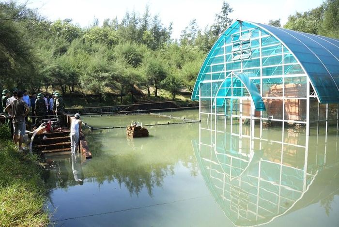 Di tích tháp Phú Diên bị ngập úng trong đợt mưa lũ năm 2025