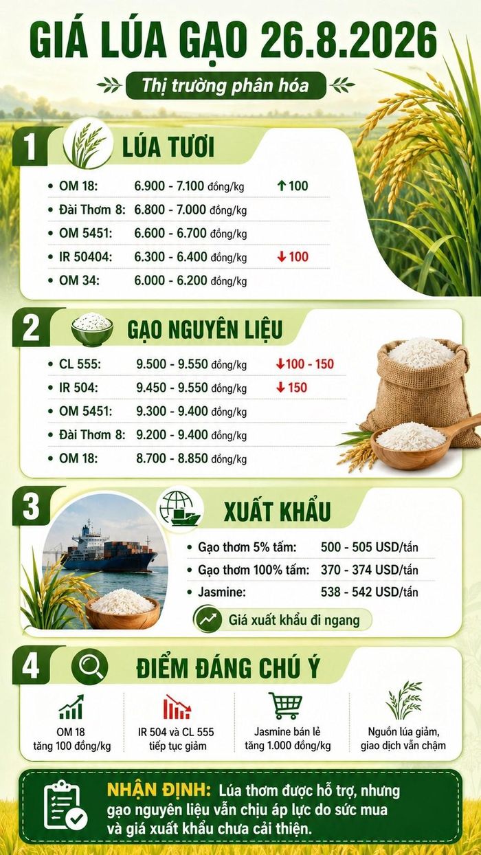 Giá thực tế có thể chênh lệch theo địa phương, chất lượng hàng và thời điểm giao dịch.