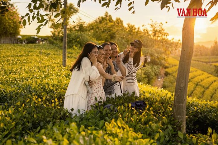 Nhiều du khách tìm đến đây để ngắm, chụp ảnh lưu lại vẻ đẹp của những nương chè, những đường luống uốn lượn đến khoảng không rộng mở, tạo nên hành trình khám phá gần gũi với thiên nhiên