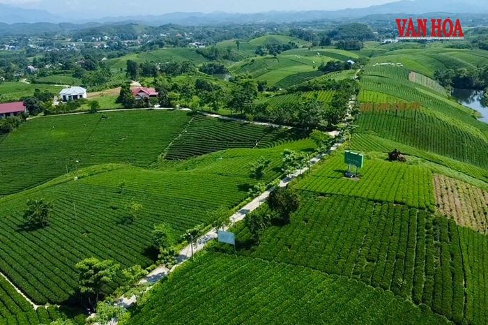 Với cảnh quan rộng mở, không gian sản xuất gắn với đời sống người dân và hệ thống điểm đến liền kề, khu vực này có nhiều dư địa để hình thành sản phẩm du lịch nông nghiệp, trải nghiệm và khám phá văn hóa địa phương
